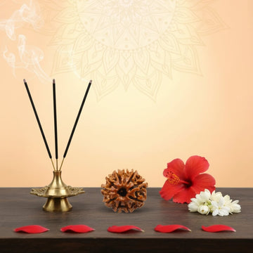10 Mukhi Rudraksha - Das Mukhi