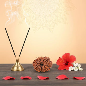 12 Mukhi Rudraksha