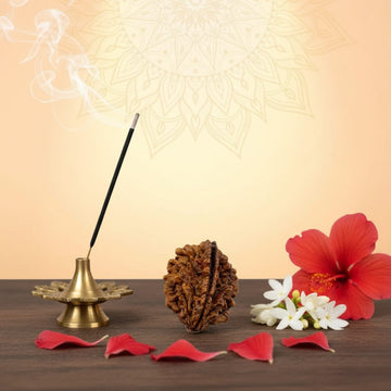 2 Mukhi Rudraksha - Do Mukhi