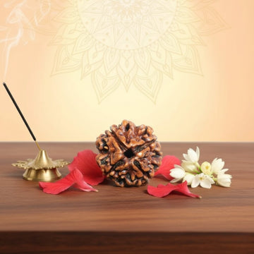 4 Mukhi Rudraksha - Chaar Mukhi