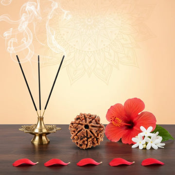7 Mukhi Rudraksha - Saat Mukhi