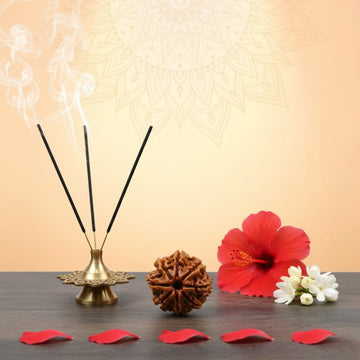 8 Mukhi Rudraksha - Aath Mukhi