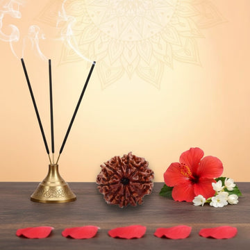 9 Mukhi Rudraksha - Nau Mukhi