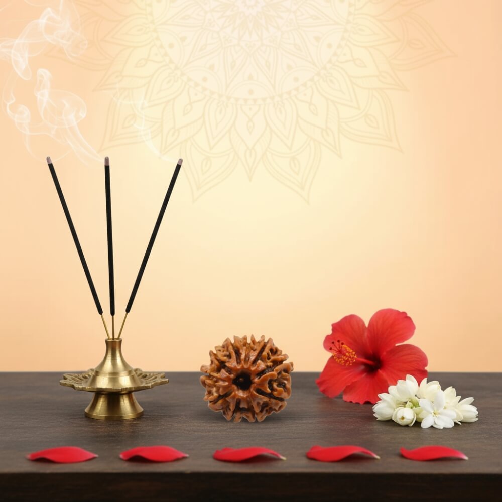 10 Mukhi Rudraksha - Das Mukhi