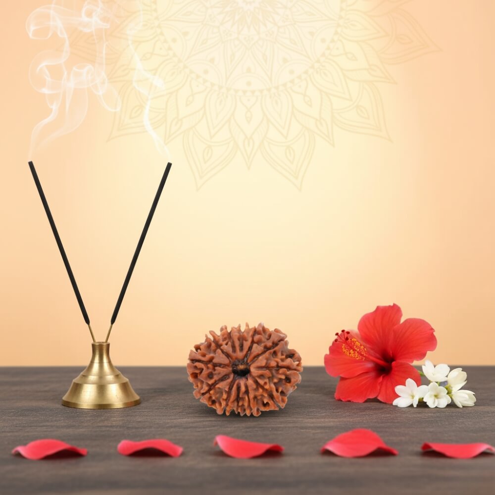 12 Mukhi Rudraksha