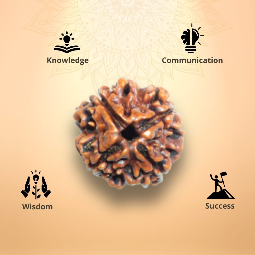 4 Mukhi Rudraksha - Chaar Mukhi