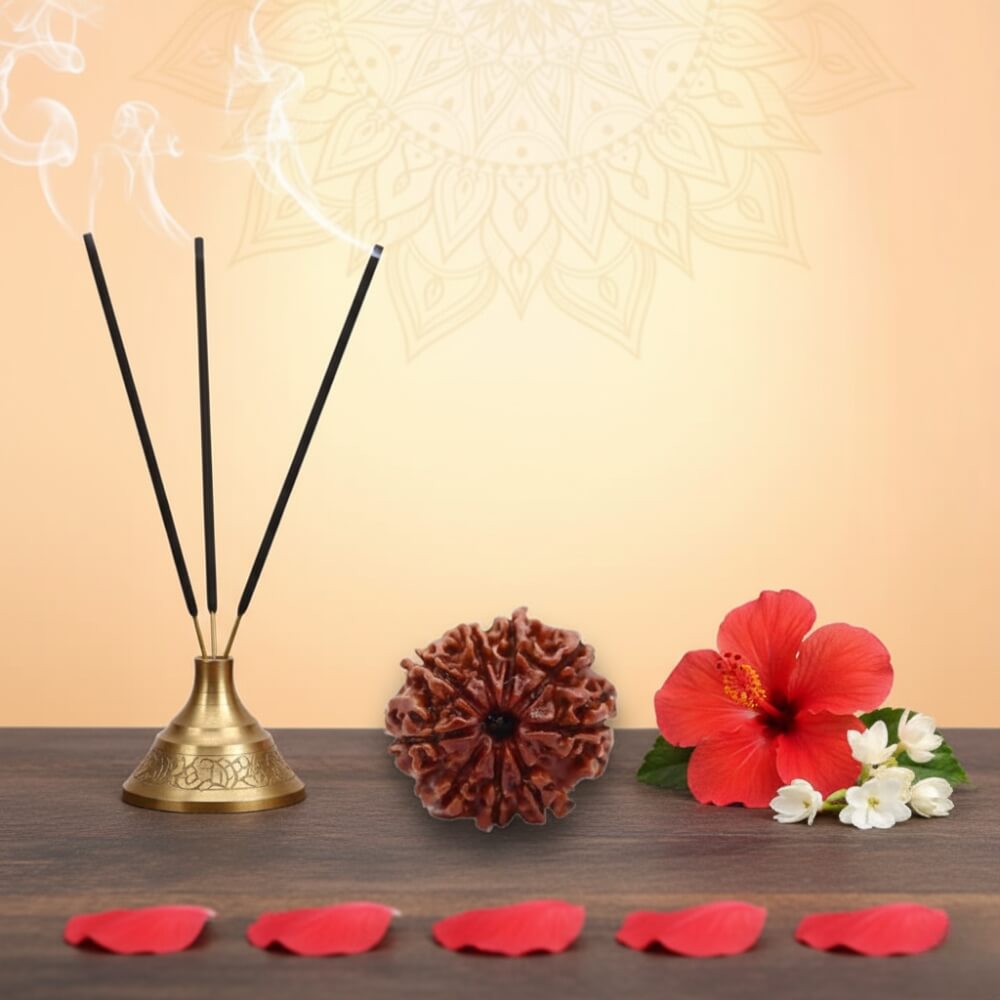 9 Mukhi Rudraksha - Nau Mukhi